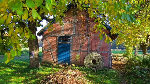 Hütte im Wald.Arne