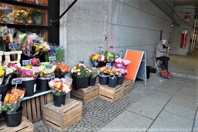 Münchner Freiheit.Blumen